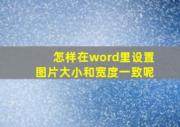 怎样在word里设置图片大小和宽度一致呢