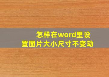 怎样在word里设置图片大小尺寸不变动