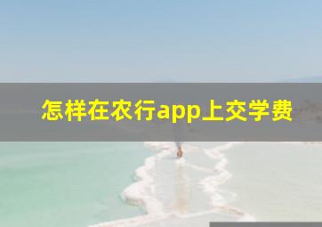 怎样在农行app上交学费