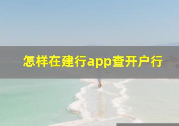 怎样在建行app查开户行