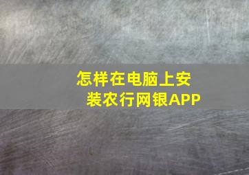 怎样在电脑上安装农行网银APP