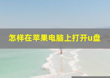 怎样在苹果电脑上打开u盘