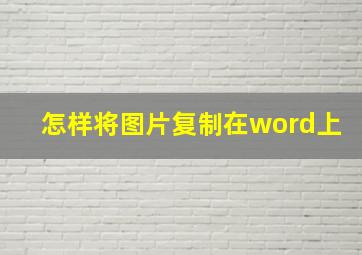 怎样将图片复制在word上