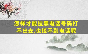 怎样才能拉黑电话号码打不出去,也接不到电话呢