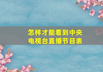 怎样才能看到中央电视台直播节目表