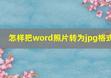 怎样把word照片转为jpg格式