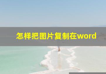 怎样把图片复制在word