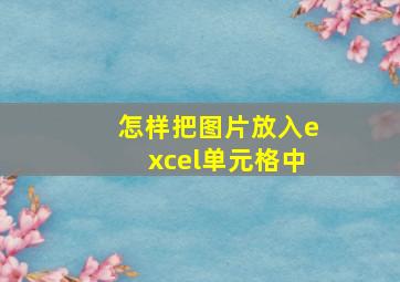 怎样把图片放入excel单元格中