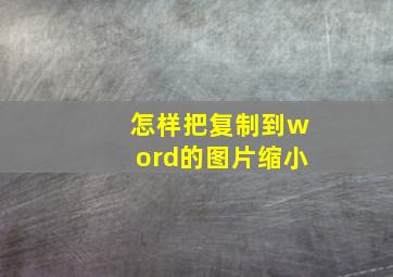 怎样把复制到word的图片缩小