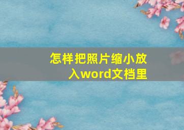 怎样把照片缩小放入word文档里