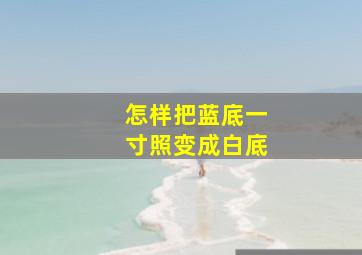 怎样把蓝底一寸照变成白底