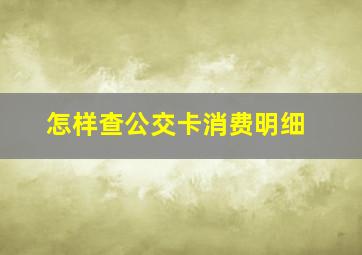 怎样查公交卡消费明细