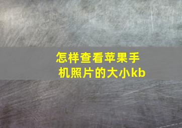 怎样查看苹果手机照片的大小kb