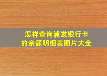 怎样查询浦发银行卡的余额明细表图片大全