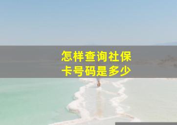 怎样查询社保卡号码是多少