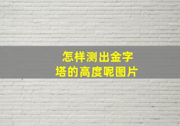 怎样测出金字塔的高度呢图片