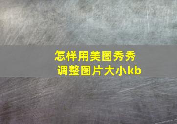 怎样用美图秀秀调整图片大小kb