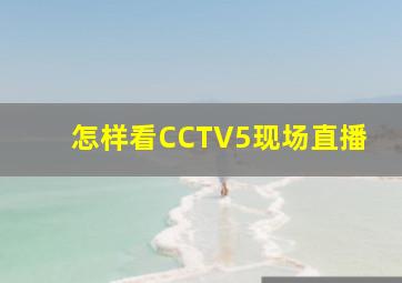 怎样看CCTV5现场直播