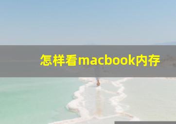 怎样看macbook内存