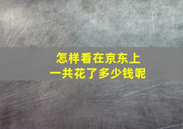 怎样看在京东上一共花了多少钱呢