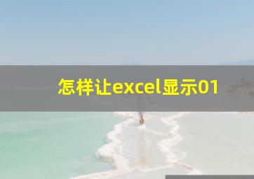 怎样让excel显示01