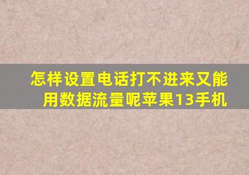 怎样设置电话打不进来又能用数据流量呢苹果13手机