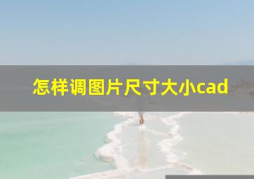 怎样调图片尺寸大小cad