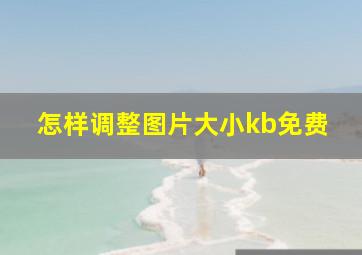 怎样调整图片大小kb免费