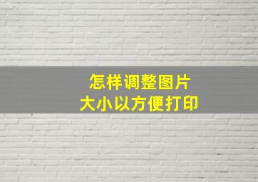 怎样调整图片大小以方便打印