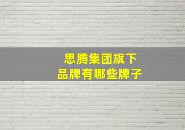 思腾集团旗下品牌有哪些牌子