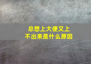 总想上大便又上不出来是什么原因