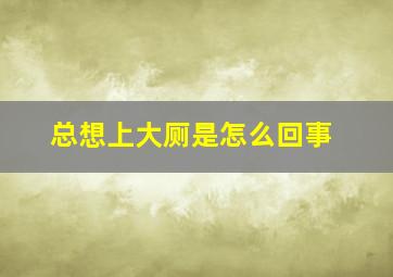 总想上大厕是怎么回事