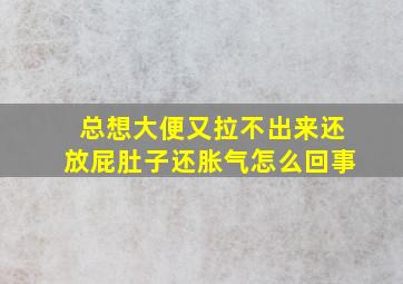 总想大便又拉不出来还放屁肚子还胀气怎么回事