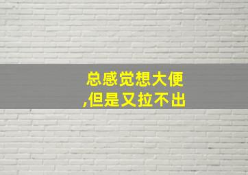 总感觉想大便,但是又拉不出