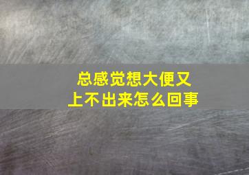 总感觉想大便又上不出来怎么回事