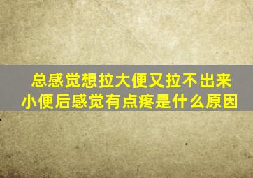 总感觉想拉大便又拉不出来小便后感觉有点疼是什么原因