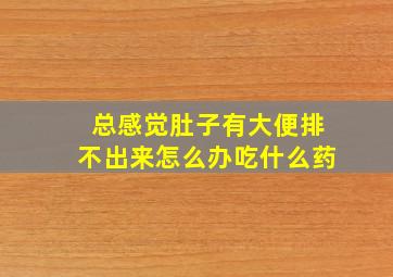 总感觉肚子有大便排不出来怎么办吃什么药