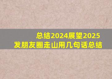 总结2024展望2025发朋友圈走山用几句话总结