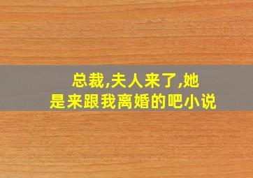 总裁,夫人来了,她是来跟我离婚的吧小说