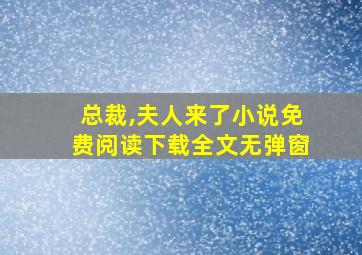 总裁,夫人来了小说免费阅读下载全文无弹窗