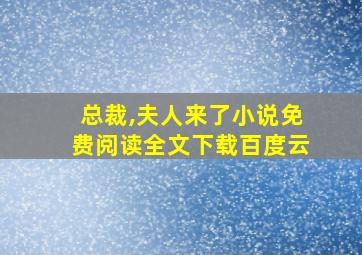 总裁,夫人来了小说免费阅读全文下载百度云