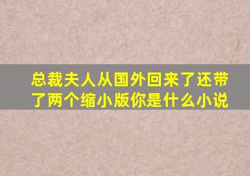 总裁夫人从国外回来了还带了两个缩小版你是什么小说