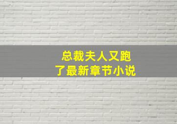 总裁夫人又跑了最新章节小说