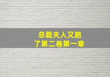 总裁夫人又跑了第二卷第一章