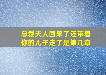 总裁夫人回来了还带着你的儿子走了是第几章