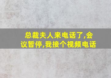 总裁夫人来电话了,会议暂停,我接个视频电话