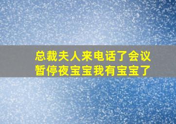 总裁夫人来电话了会议暂停夜宝宝我有宝宝了