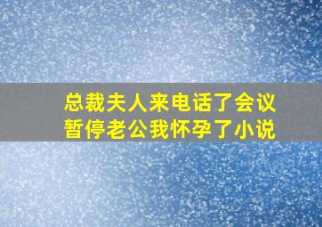 总裁夫人来电话了会议暂停老公我怀孕了小说