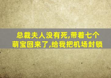 总裁夫人没有死,带着七个萌宝回来了,给我把机场封锁