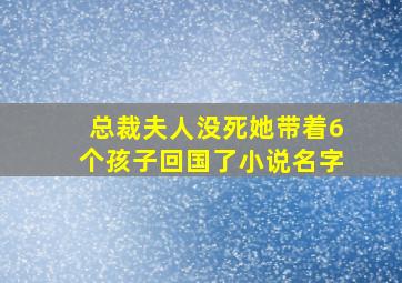 总裁夫人没死她带着6个孩子回国了小说名字